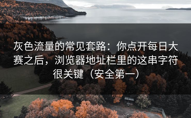 灰色流量的常见套路：你点开每日大赛之后，浏览器地址栏里的这串字符很关键（安全第一）