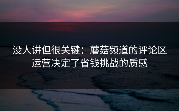 没人讲但很关键：蘑菇频道的评论区运营决定了省钱挑战的质感
