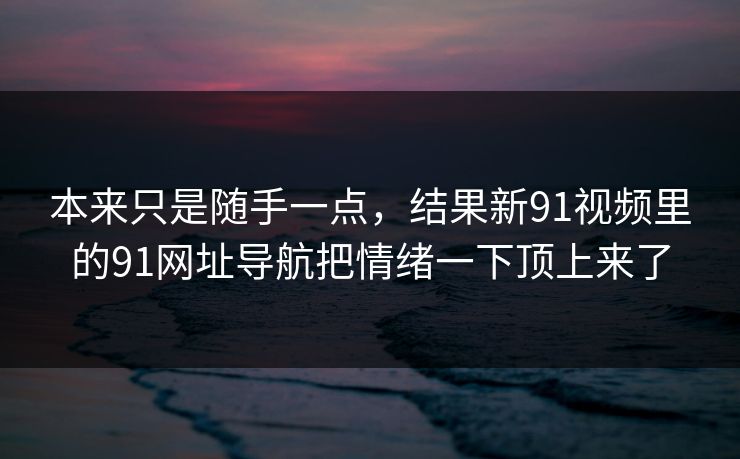 本来只是随手一点，结果新91视频里的91网址导航把情绪一下顶上来了