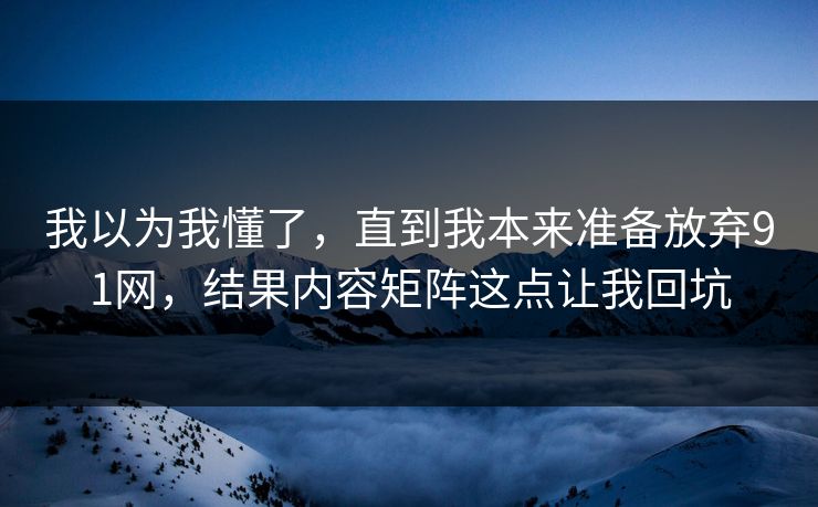 我以为我懂了，直到我本来准备放弃91网，结果内容矩阵这点让我回坑